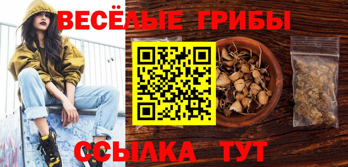 Псилоцибиновые грибы ЛСД Камышлов