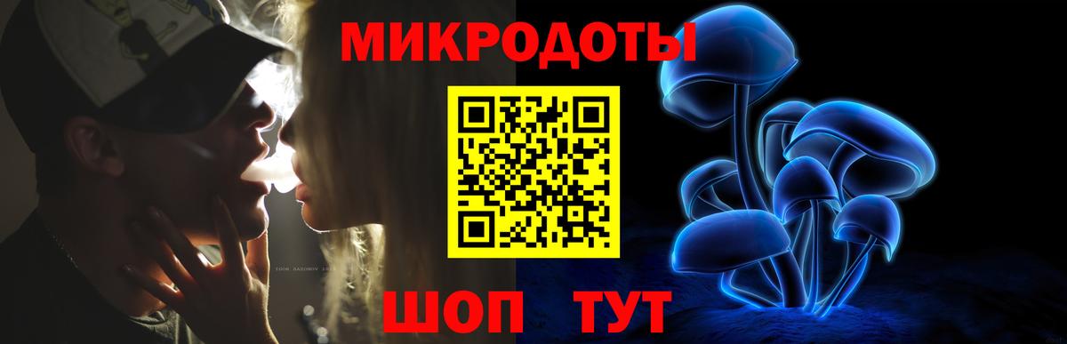 Псилоцибиновые грибы Psilocybe  Вход с VPN  Камышлов 