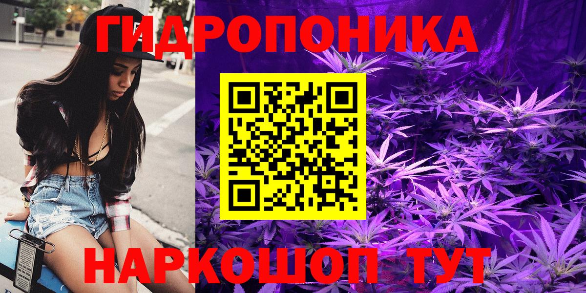 Марихуана VHQ  Вход с VPN  Марихуана ГИДРОПОН  МАРИХУАНА тримм  Камышлов 